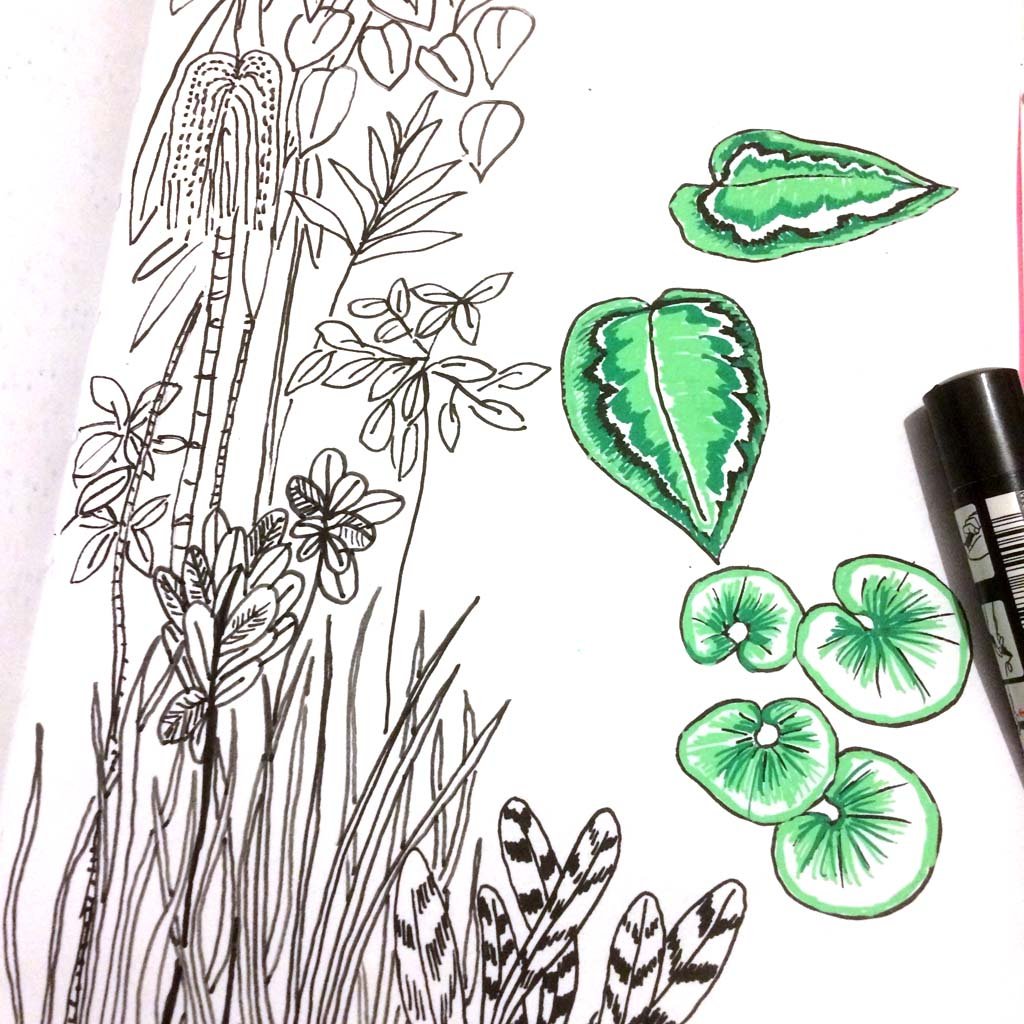 Carnet de croquis