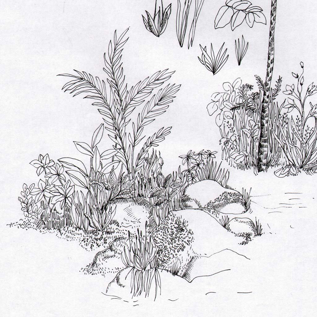 Carnet de croquis